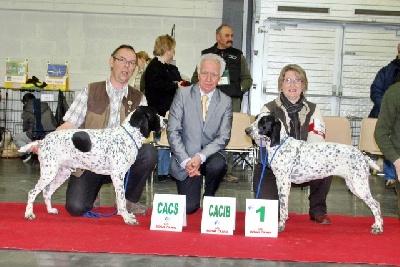 des hauts de rouillac - EXPO D' ANGERS