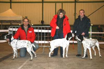 des hauts de rouillac - EXPO NIORT