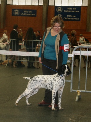 des hauts de rouillac - EXPO DE CHATEAUROUX