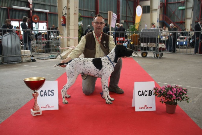 des hauts de rouillac - LIMOGES expo canine internationale