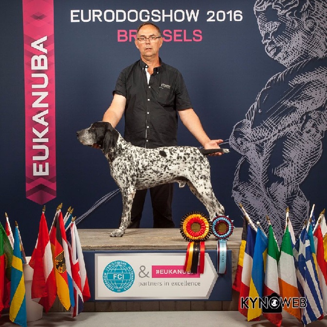 des hauts de rouillac - WINNER EURODOGSHOW 2016