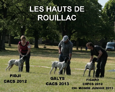 des hauts de rouillac - NATIONALE D'ELEVAGE 2013