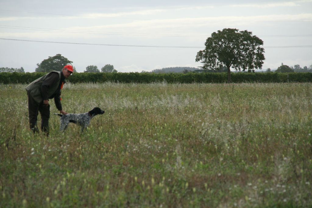 CH. Opale des hauts de rouillac