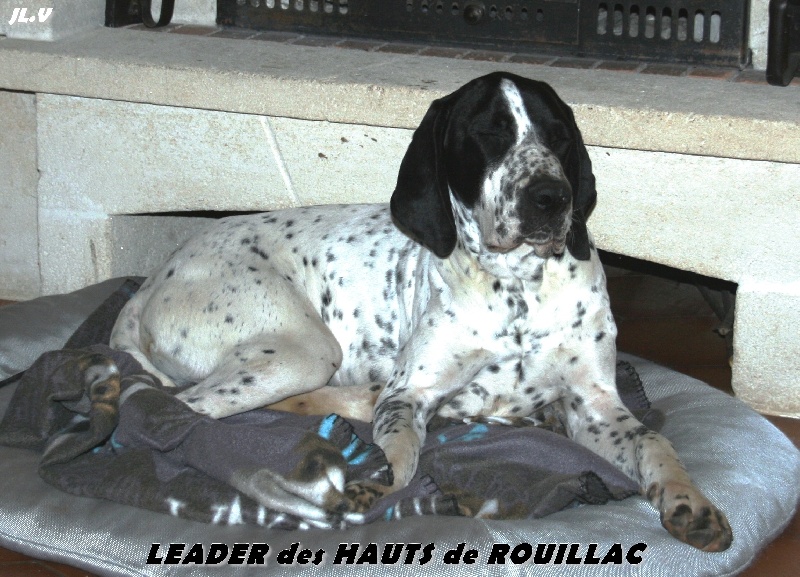 Leader des hauts de rouillac