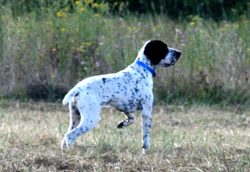 Leader des hauts de rouillac