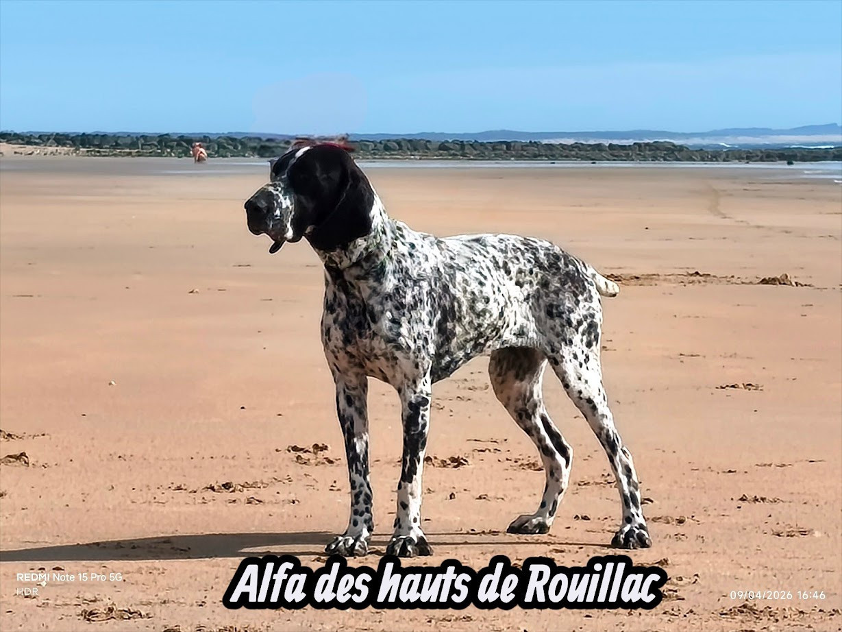 ALFA  des hauts de rouillac