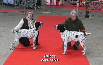 des hauts de rouillac - EXPO de LIMOGES