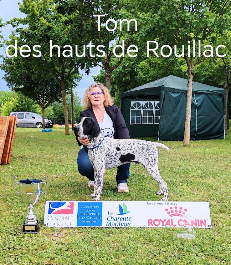 des hauts de rouillac - EXPO - AIGREFEUILLE 17