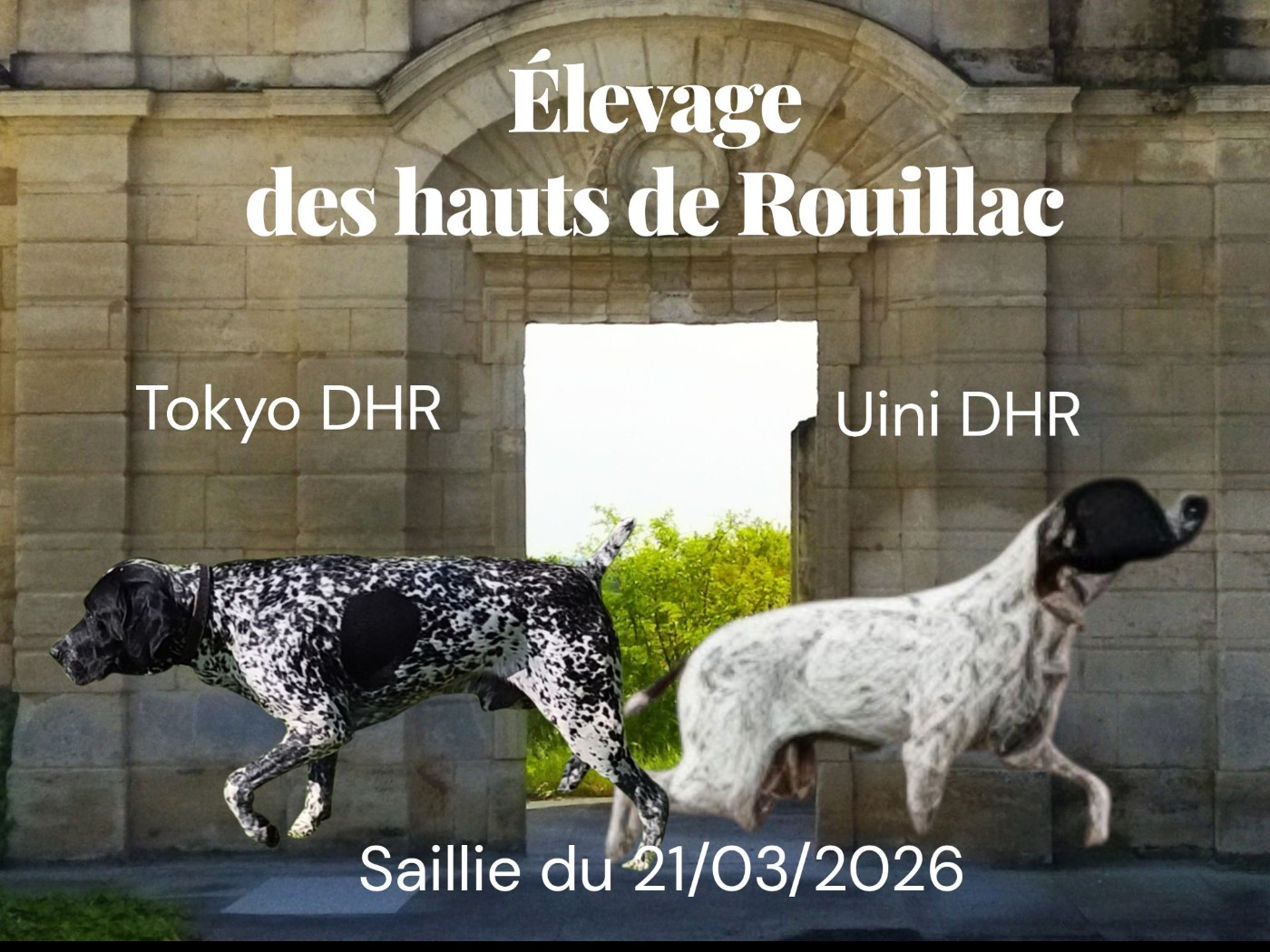 saillie de UINI DES HAUTS DE ROUILLAC