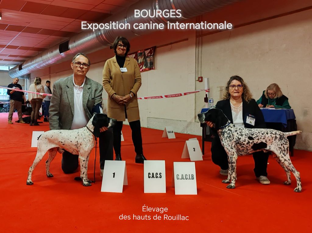 des hauts de rouillac - Exposition Canine de BOURGES