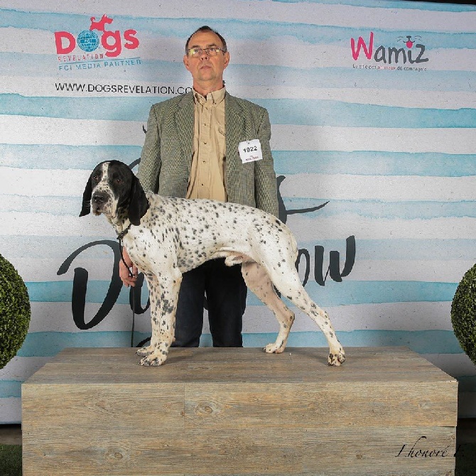 des hauts de rouillac - PARIS DOG SHOW 2017