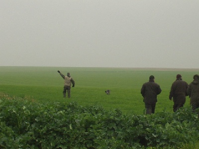 des hauts de rouillac - FIELD TRIAL