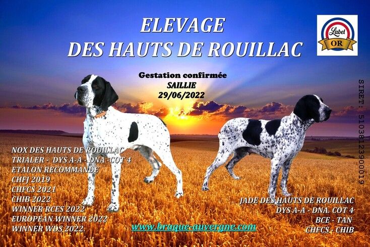 des hauts de rouillac - Gestation en cours 2022
