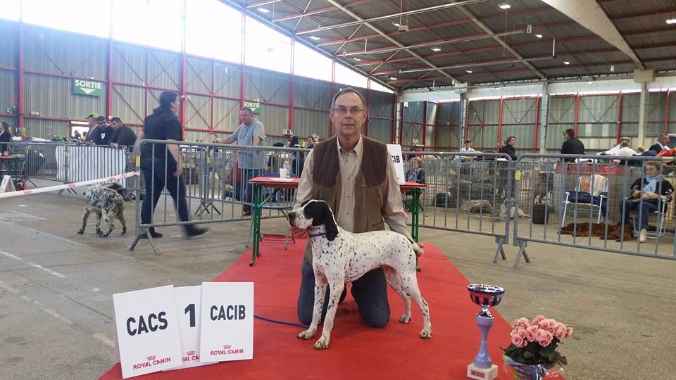 des hauts de rouillac - EXPO LIMOGES