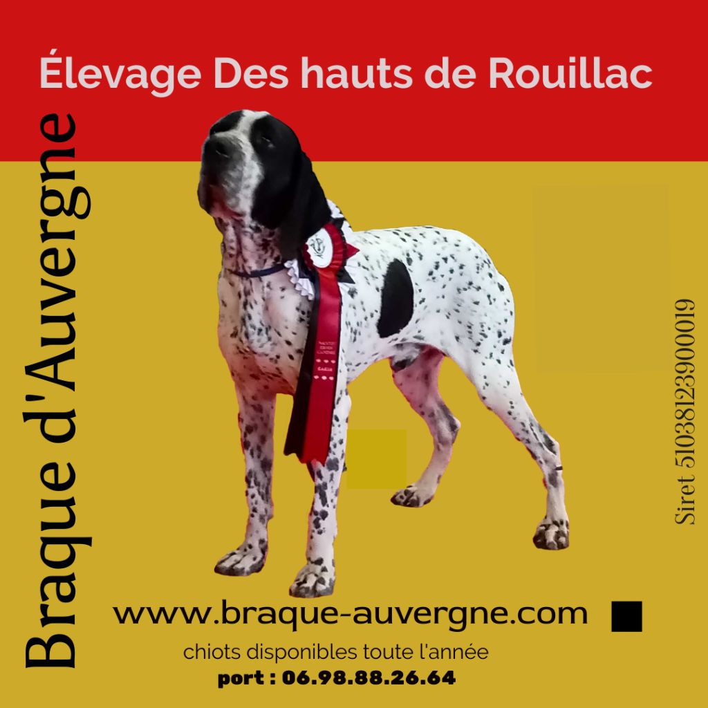 des hauts de rouillac - NOUVEAU TITRE de CH FRANCE STANTARD
