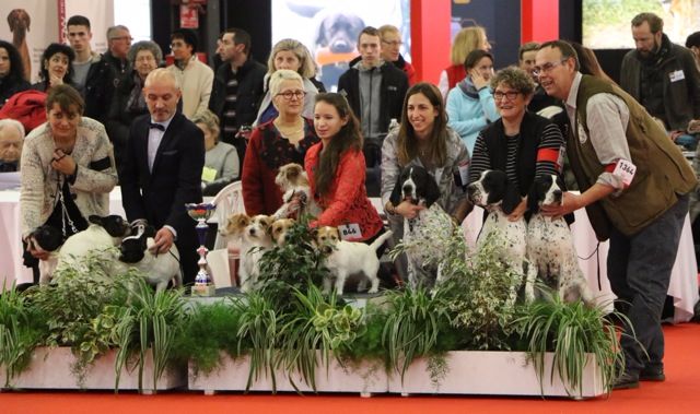 des hauts de rouillac - BORDEAUX _ exposition