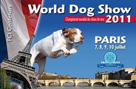 Exposition